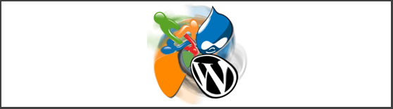 The Types of Websites We Build